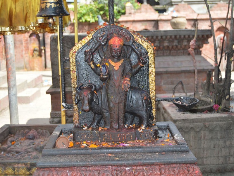 sankha 13